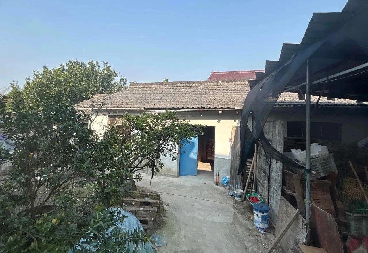 卖烟花爆竹？小心违法！冰球突破网站朋友圈售(图2)