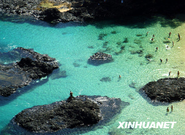 南多—迪诺罗尼亚岛冰球突破美丽的费尔